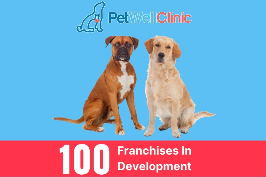 Franchise Basics How Much Money Can You Make Owning A Franchise?